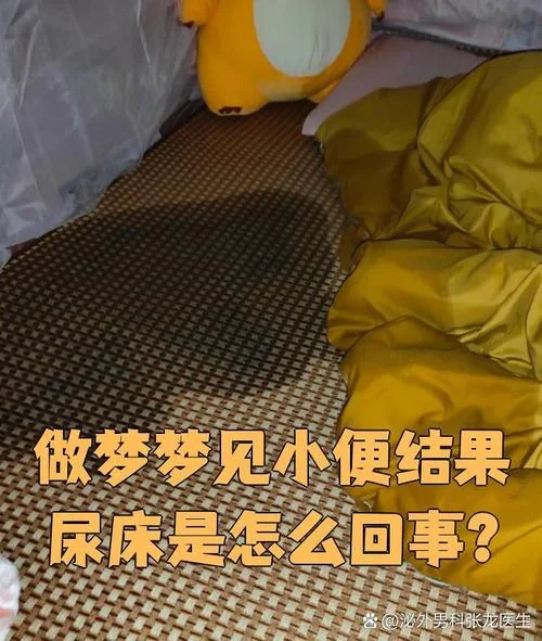 梦见自己拉屎到床上是什么预兆_2