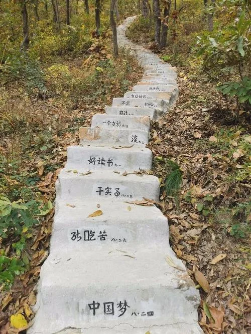 腰里绑扁担下一句_2