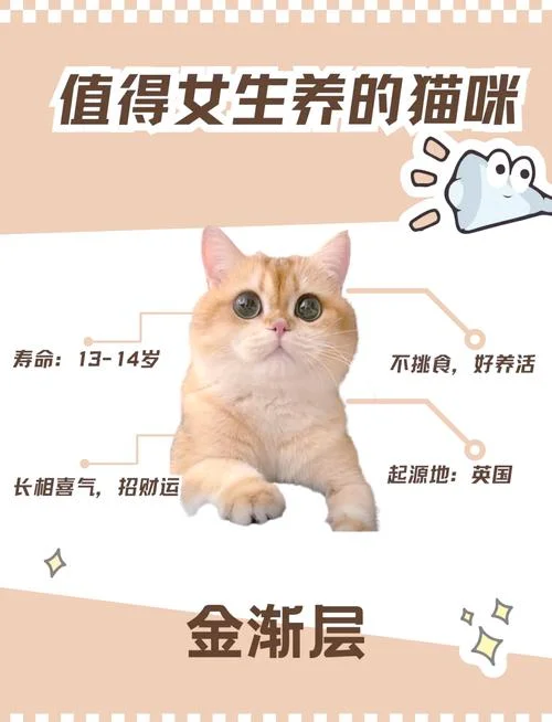 金渐层起名称-金渐层起名建议
