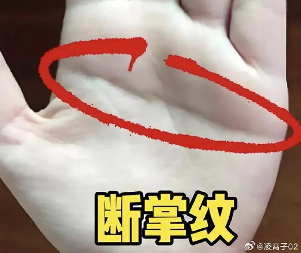 断掌怎么看手相图解_2