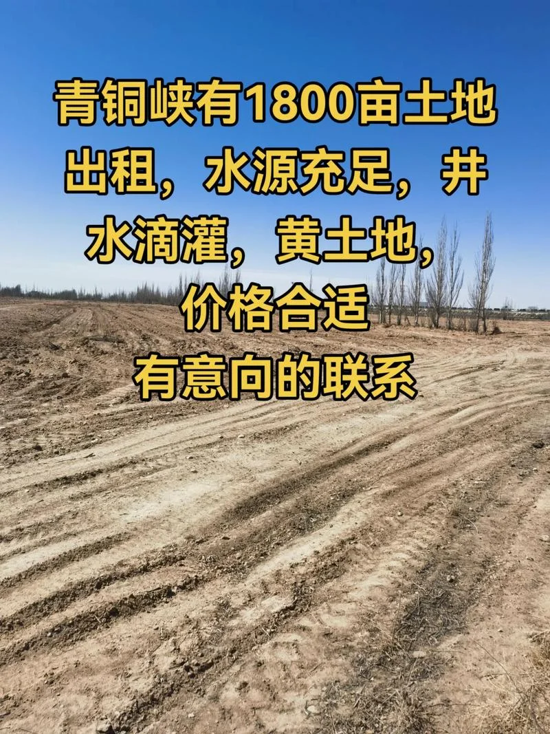 滴灌一亩多少钱_2