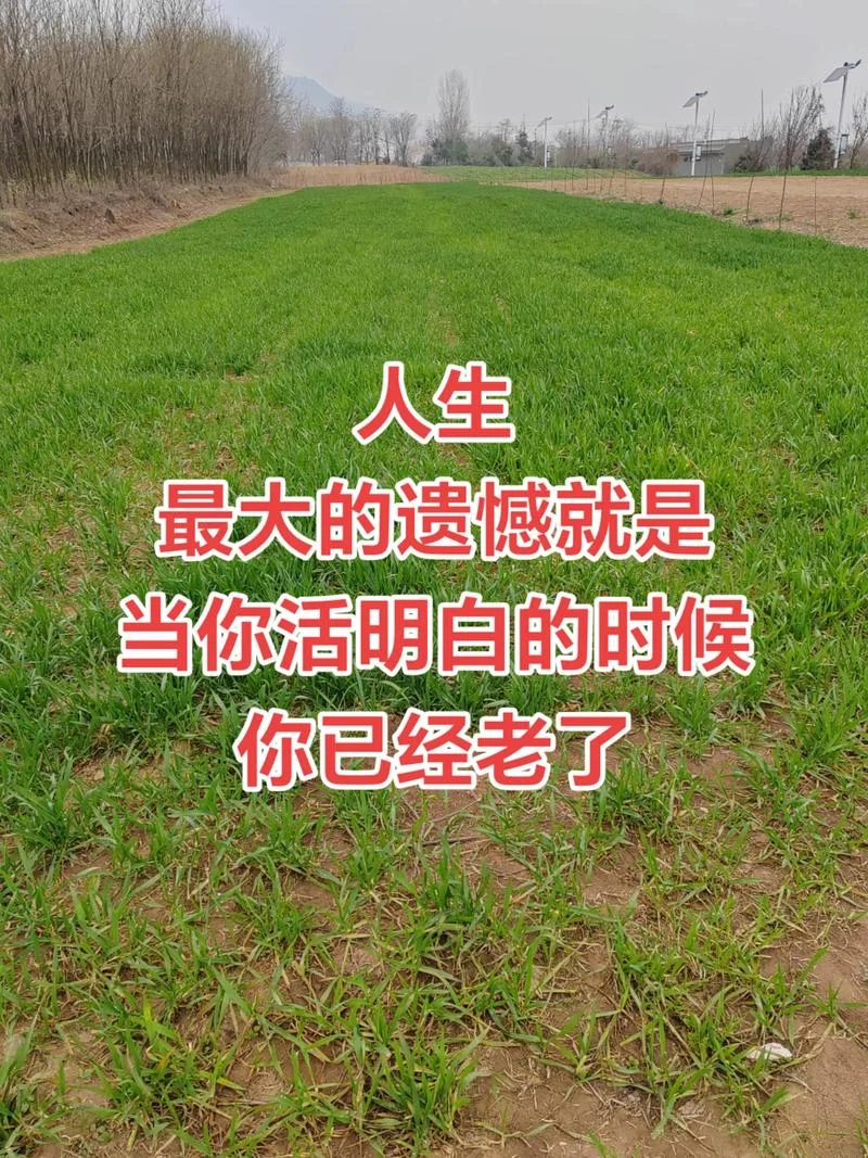 老了人生感悟_2