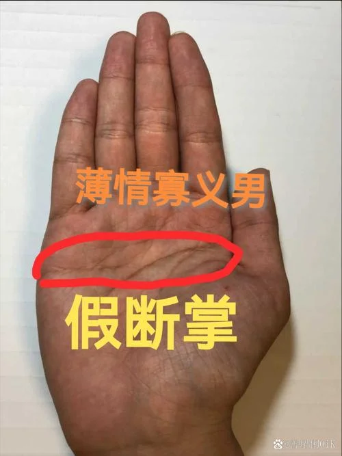 男人手相左手断掌纹_2