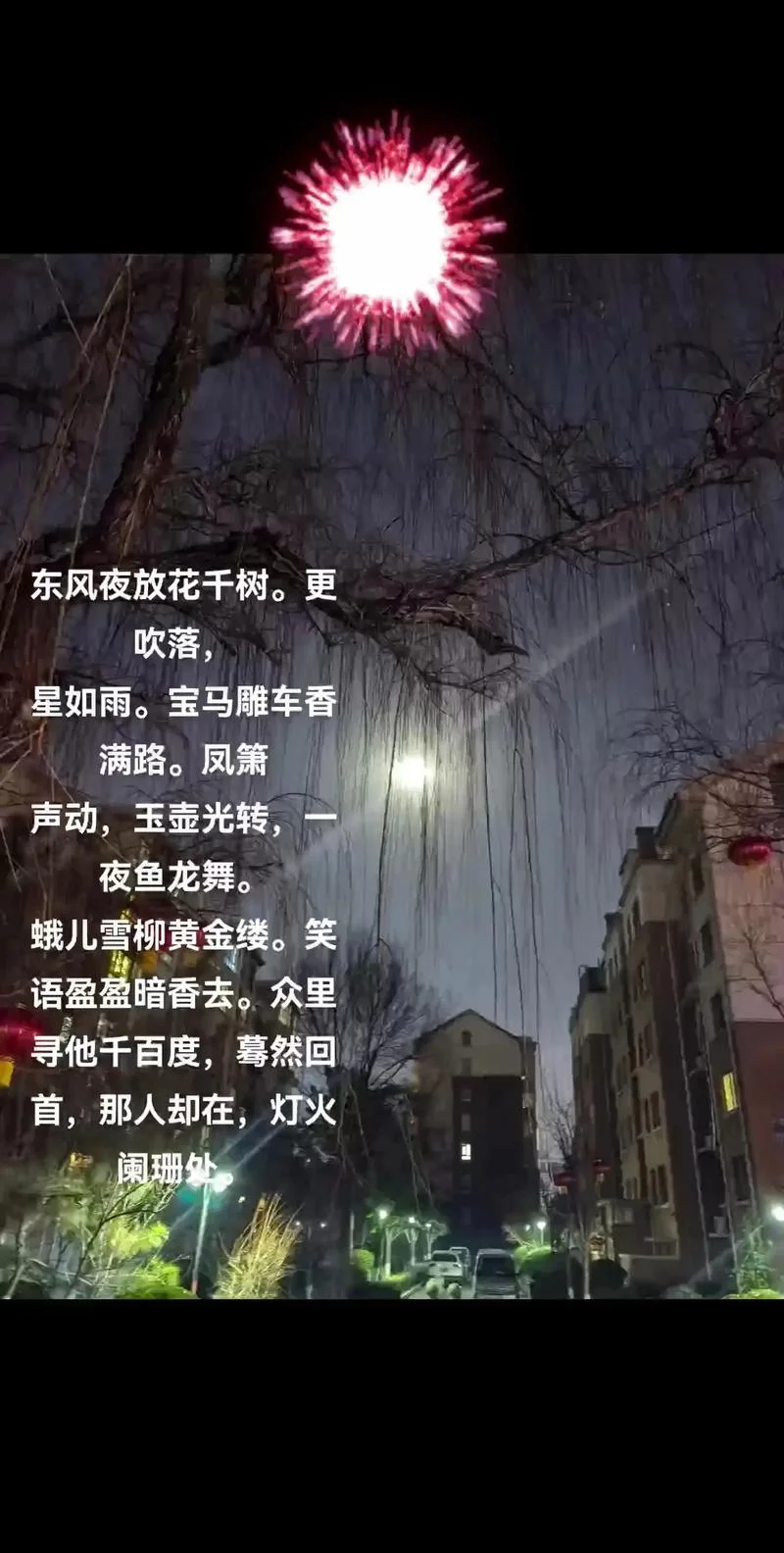 夜色微凉 下一句_2