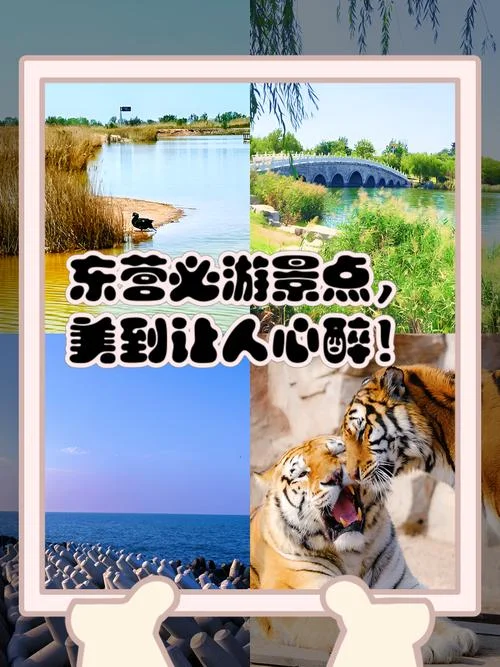 东营附近的景点_1