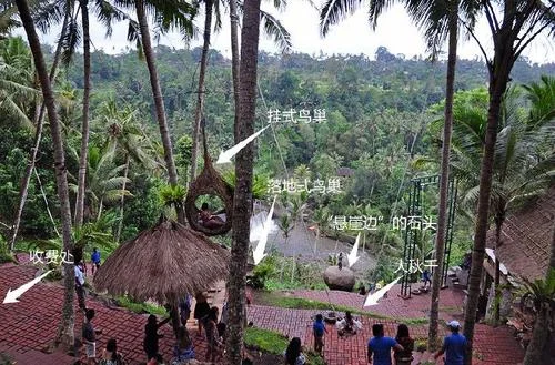 网红景点的套路_2