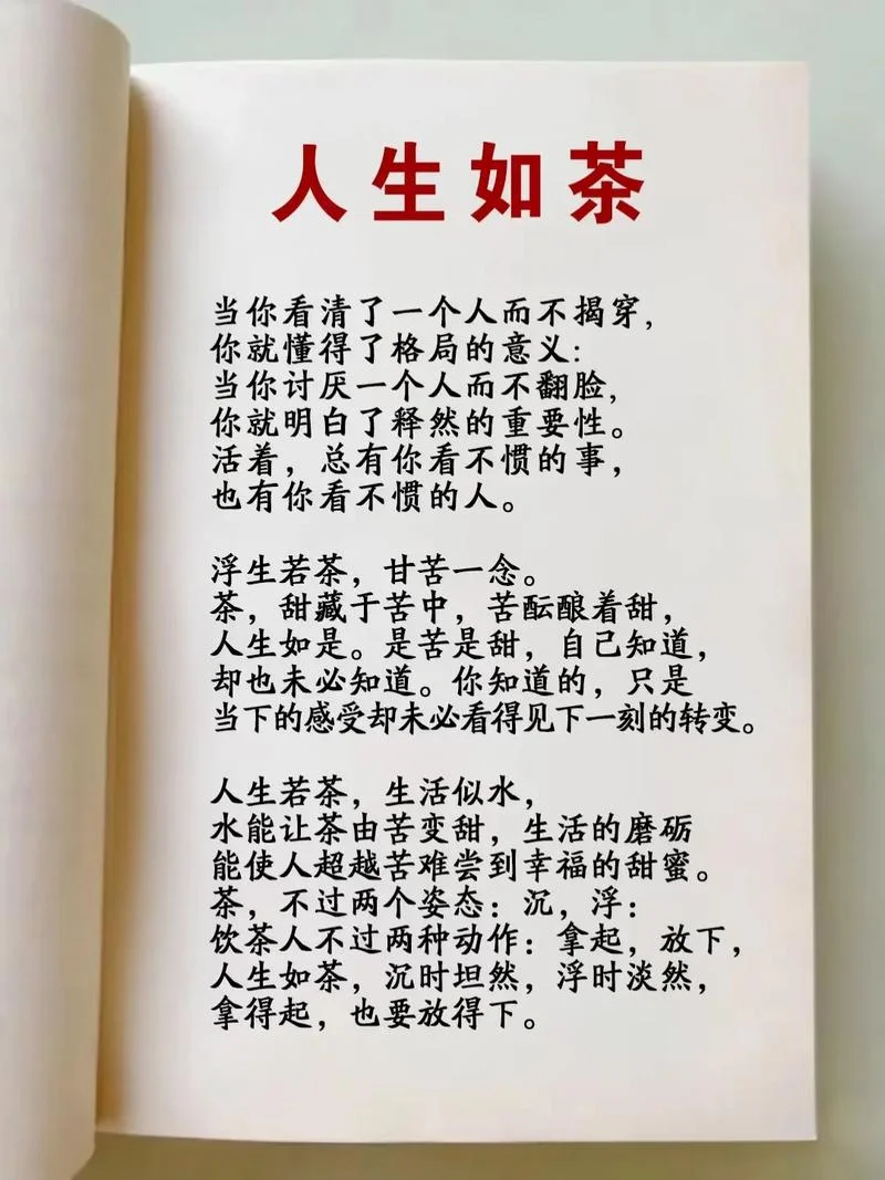独自一人喝茶感悟_1