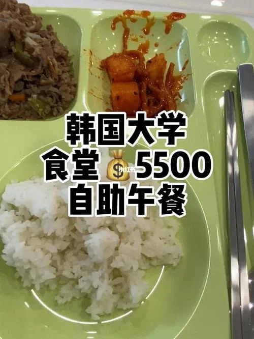 后悔留学陪读_1