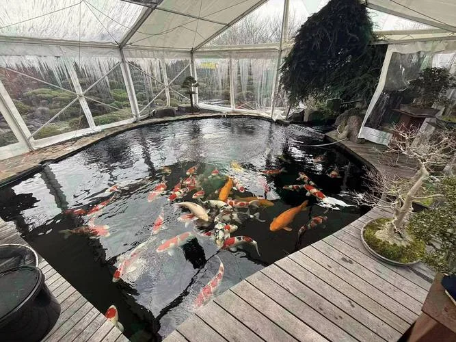 鱼池多少钱一平方_2
