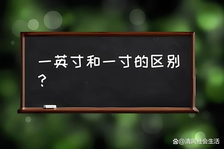 一英寸是多少平方_1