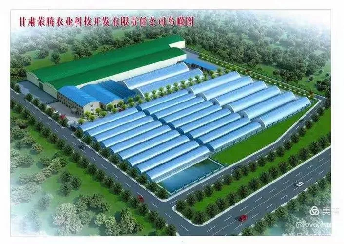 湛江农业公司起名大全_2