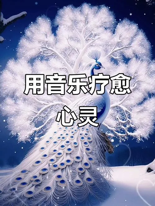 史上最优美的音乐-绝美乐章