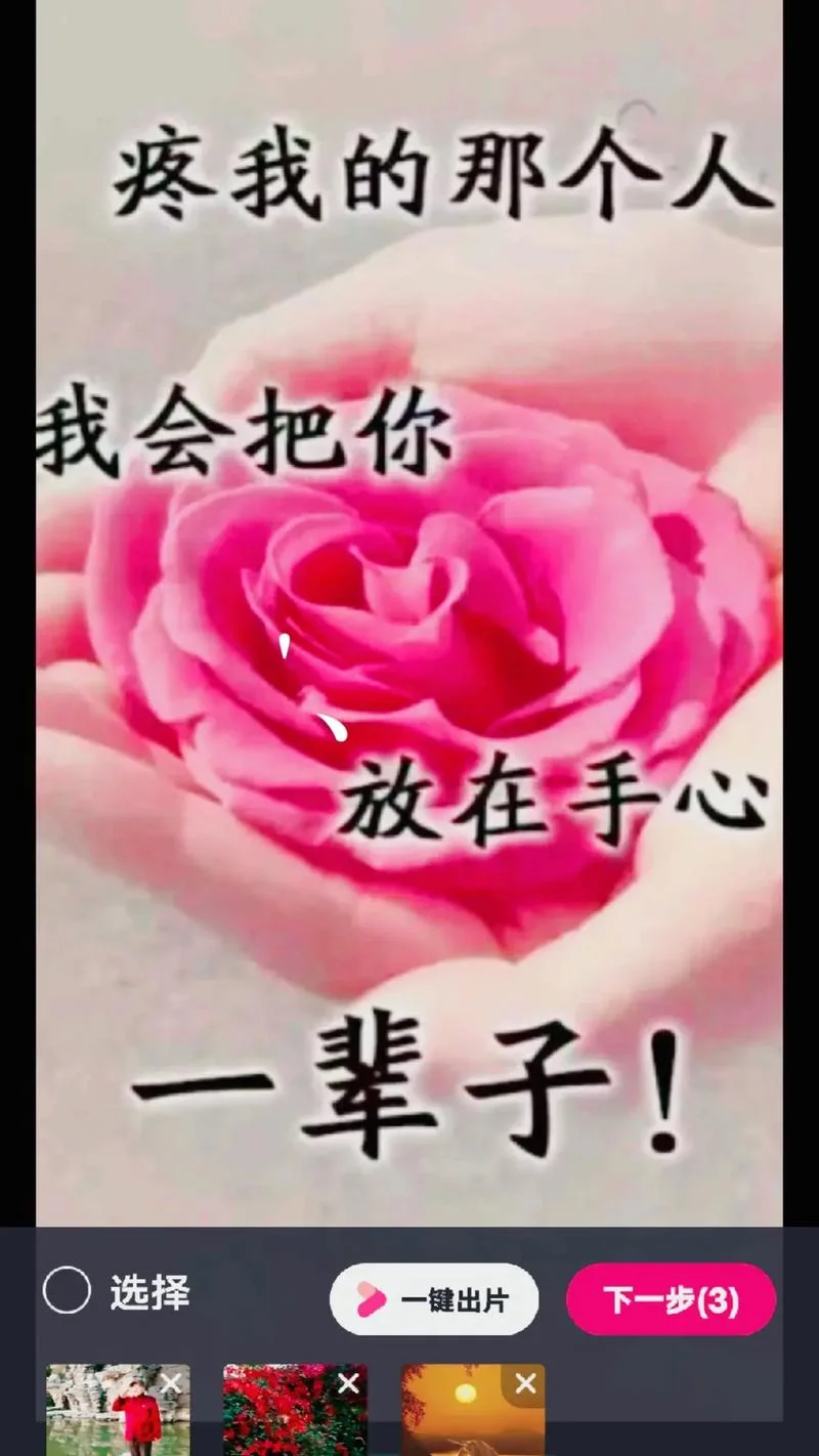 捧你在我手心下一句_2