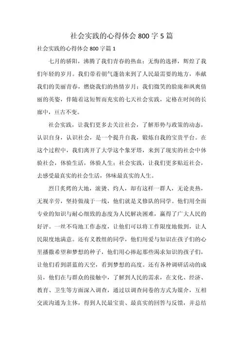 实践心得体会作文_1