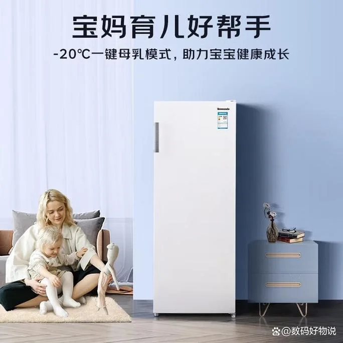单门冰箱哪个品牌好_1