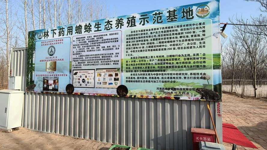 特色养殖项目 养殖点什么好呢_2