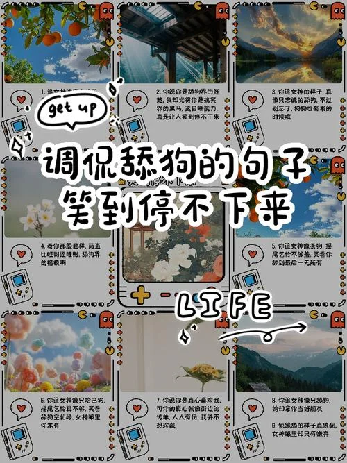 舔狗舔狗下一句是什么_1