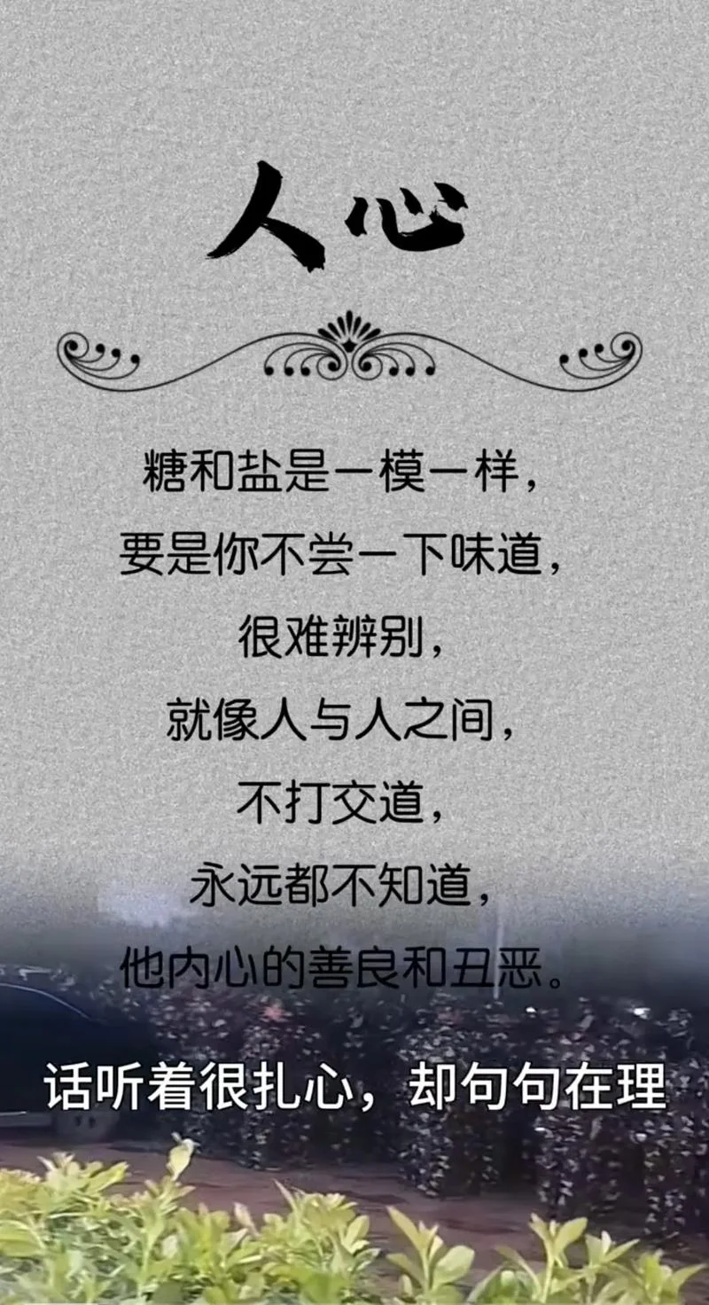 看透人生感悟图片带字_2
