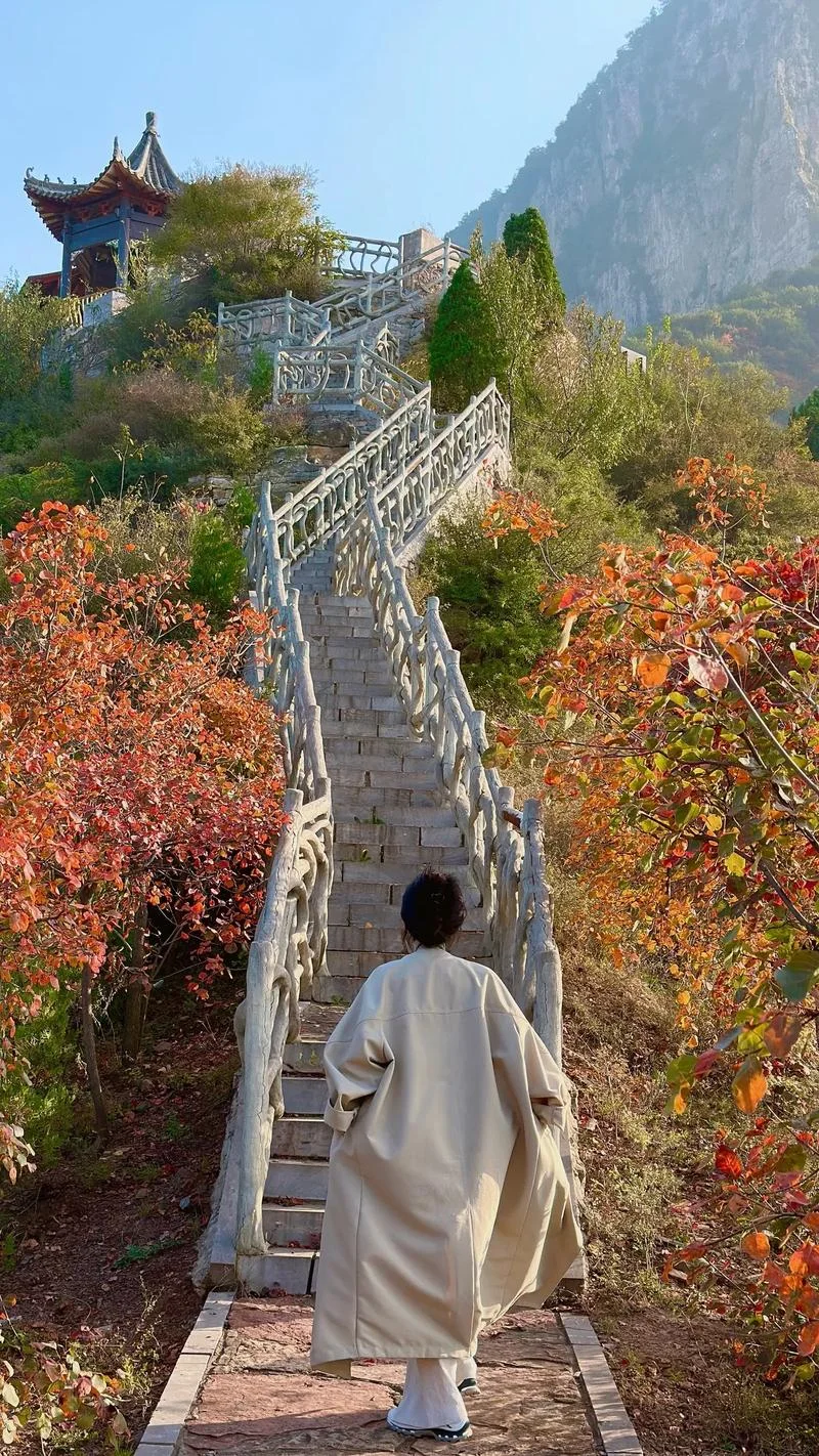 天津去洛阳周边景点_1