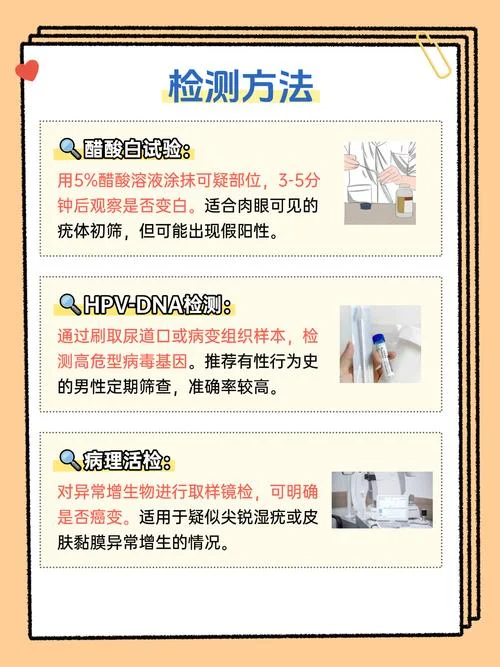 hpv男性如何查-男性 HPV 如何查