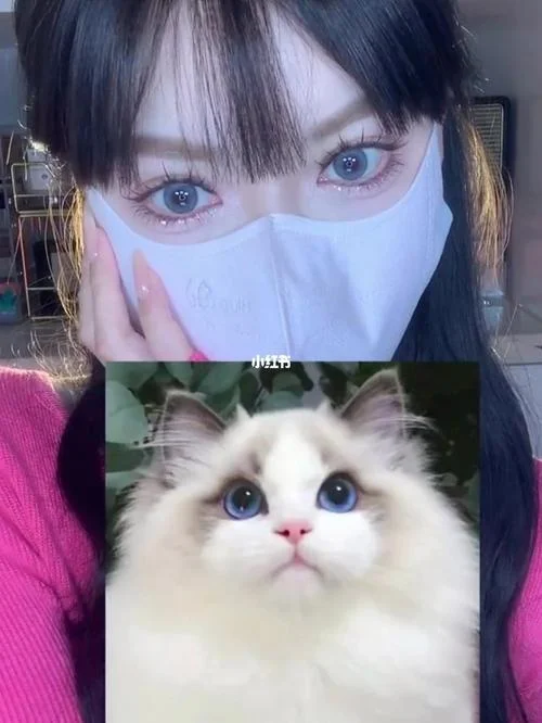蓝色眼睛的猫叫什么_1