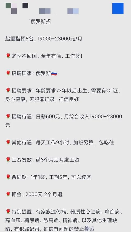 国企英语招聘条件_2