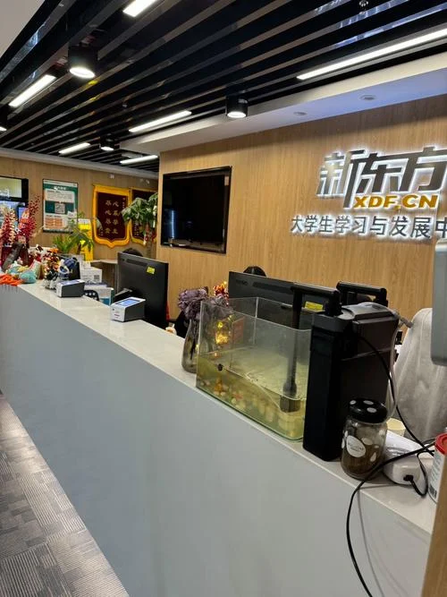 新东方考研班怎么样啊-新东方考研班质量评估