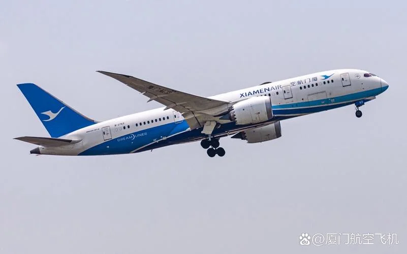 厦门航空公司简笔画_1