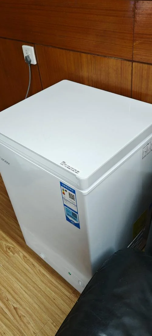 小型冰柜哪个牌子好-小型冰柜选购品牌推荐
