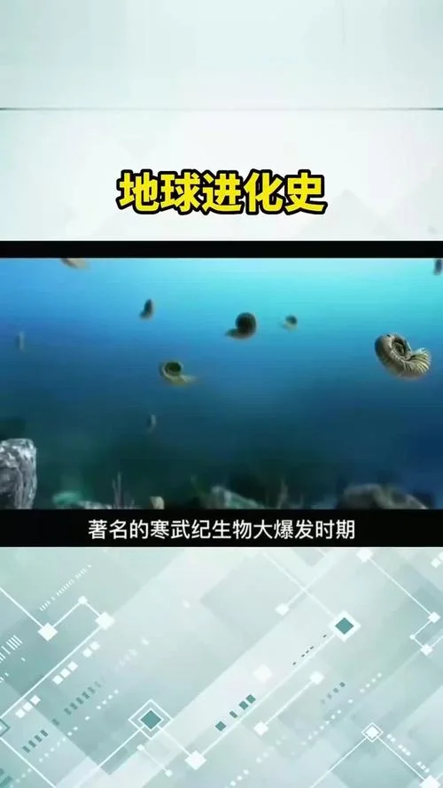 地球的历史教学视频_1