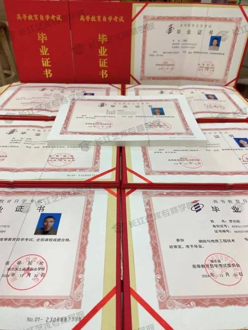 毕业证证书编号怎么查_2