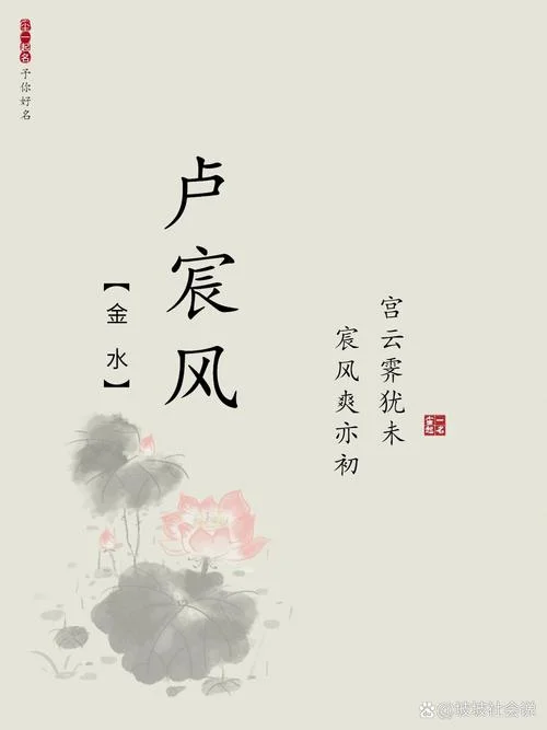卢姓男宝宝起名字_1