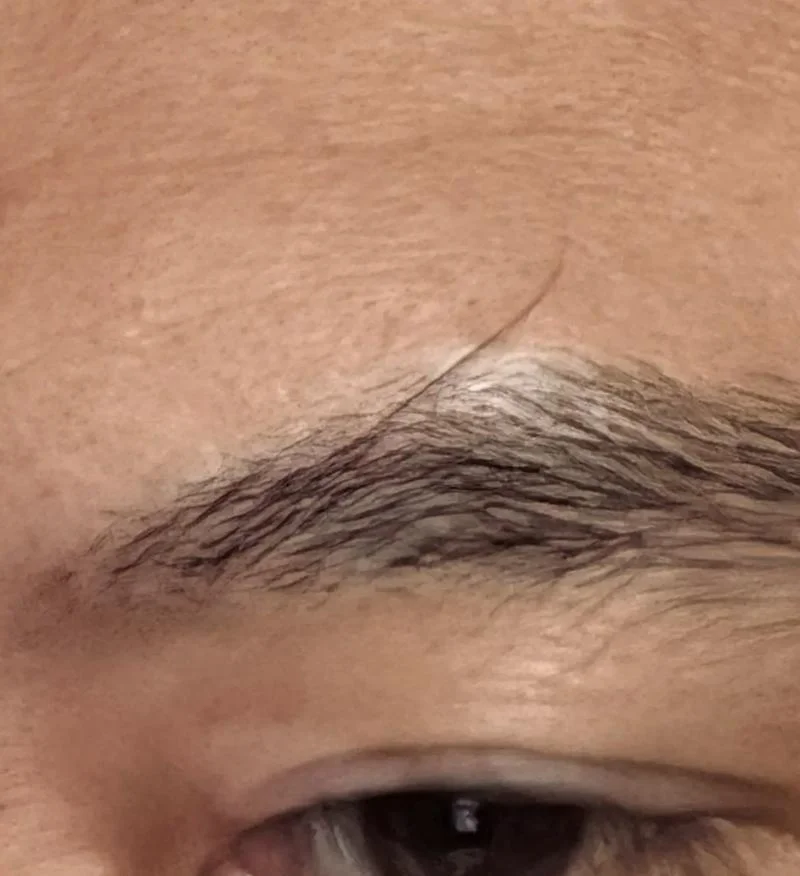梦见长了很多眉毛_1