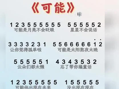 可能是谁写的歌词_1