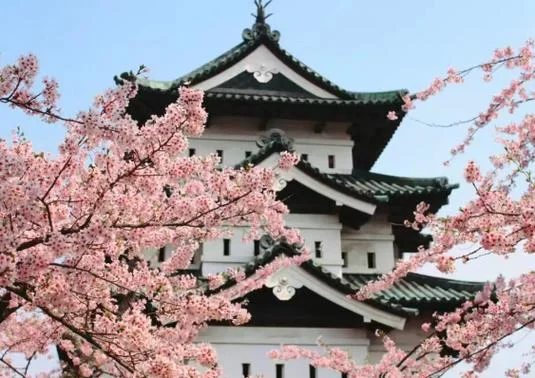 日本留学什么_1