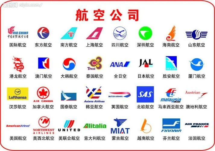 飞机的尾巴叫什么名字_1
