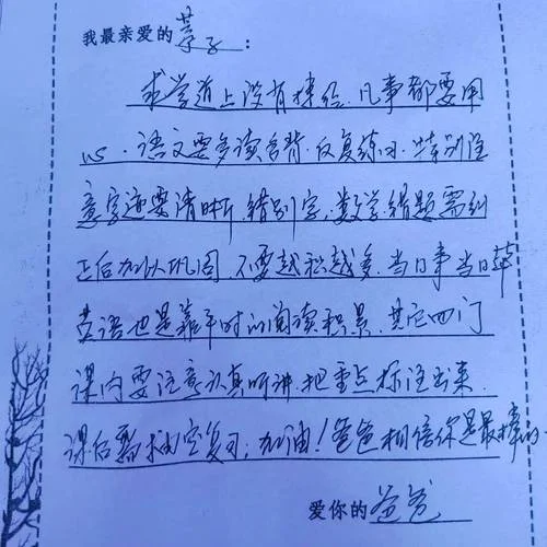 家长意见15字怎么写_2