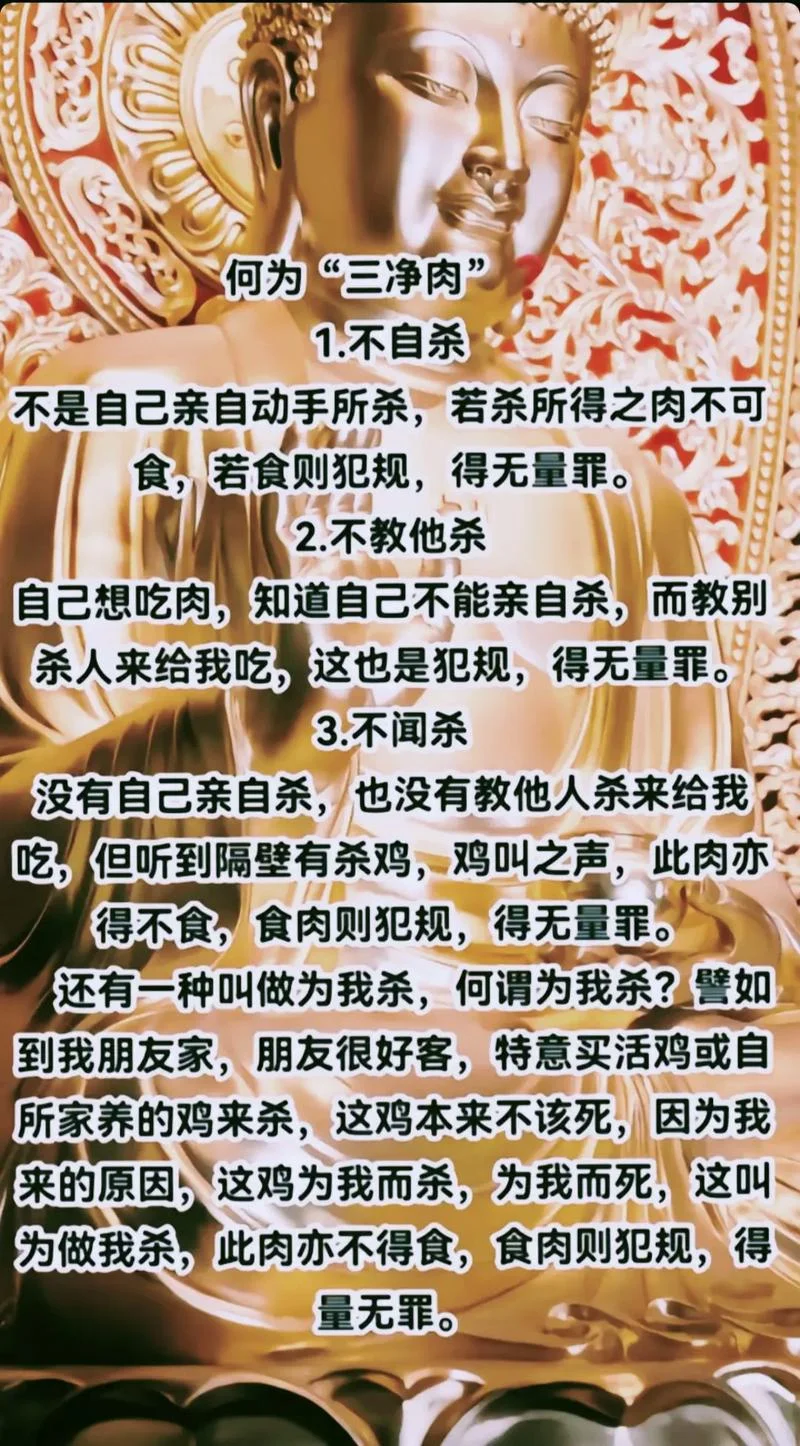 无肉不欢成语出处_1