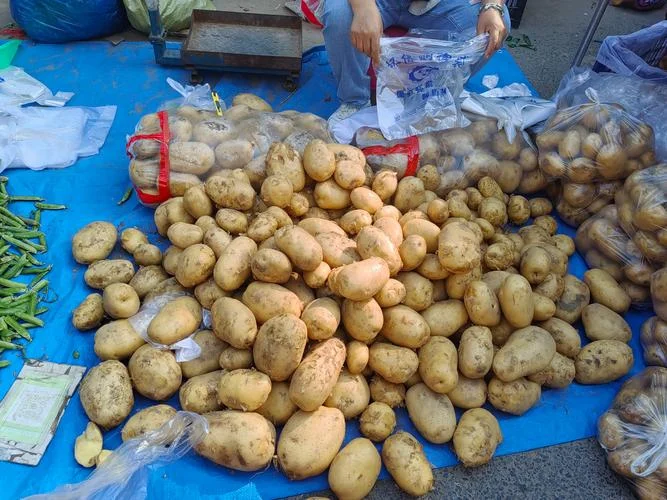 梦见买土豆什么征兆-梦买土豆的征兆