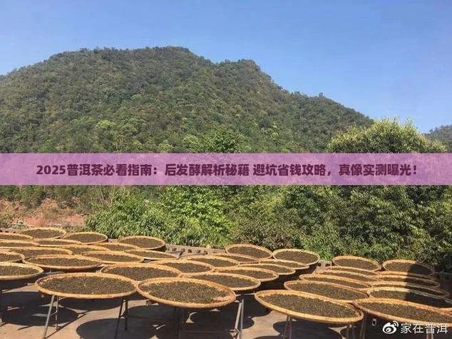 普洱以前叫什么_1