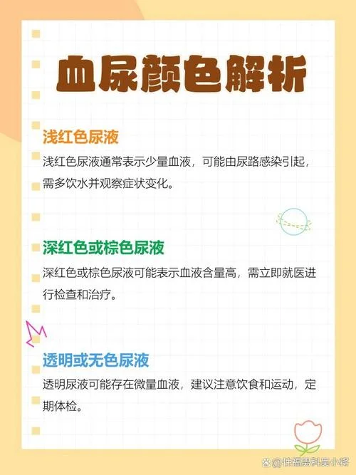 梦到自己尿血啥意思_1