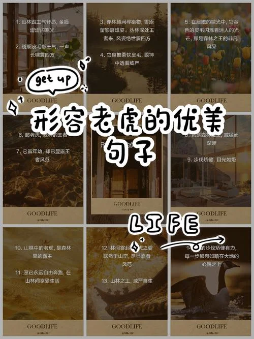 生龙活虎下一句是什么_1