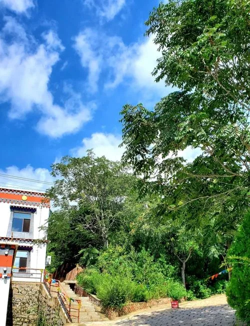 海棠山风景区景点大连_1