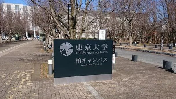 日本留学生眼中的中国-留日学子眼中的中国