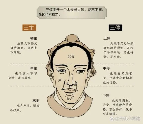 面相看人准不准-面相看人准不准