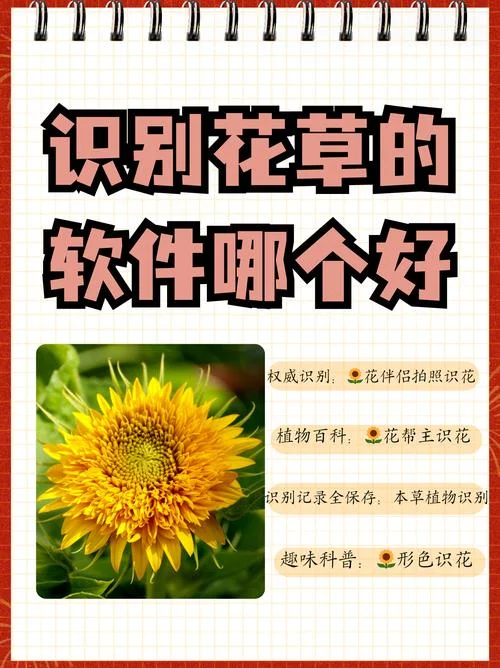 看图识花小程序叫什么_2