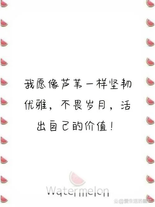 活的像风下一句是什么_1