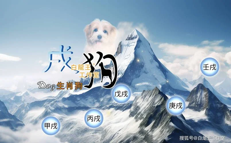 女属狗36岁本命年运势-女属狗 36 岁 本命年运势