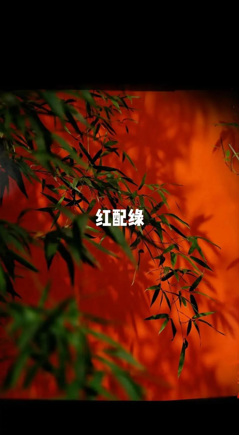 红配绿的下一句是什么_2