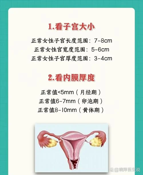 如何查卵巢是否正常_1